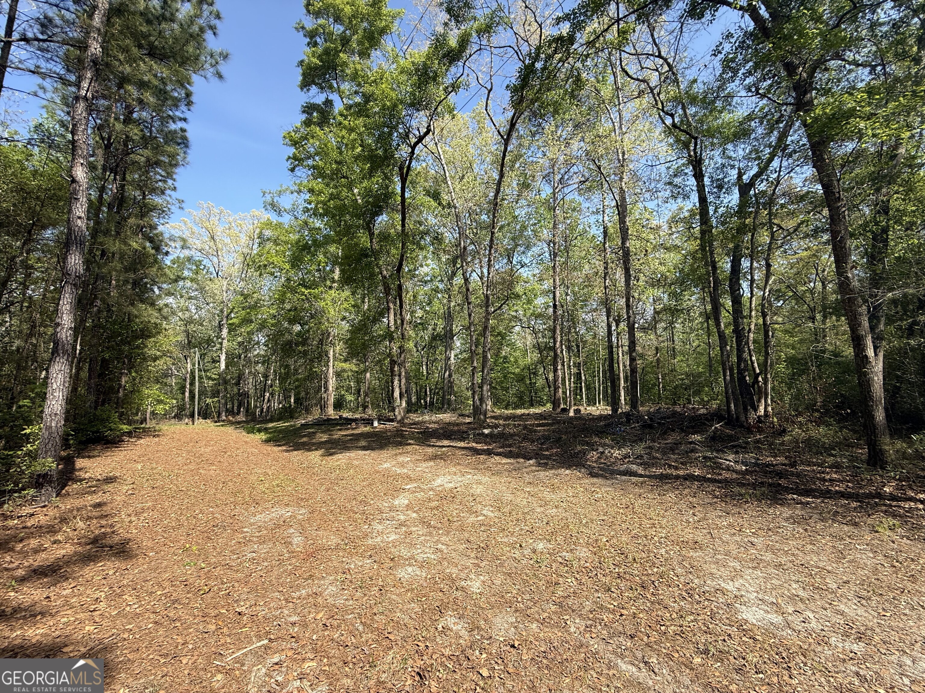 315 High Bluff Road Rincon, GA 31326 - Photo 2 of 7 a view of outdoor space with trees