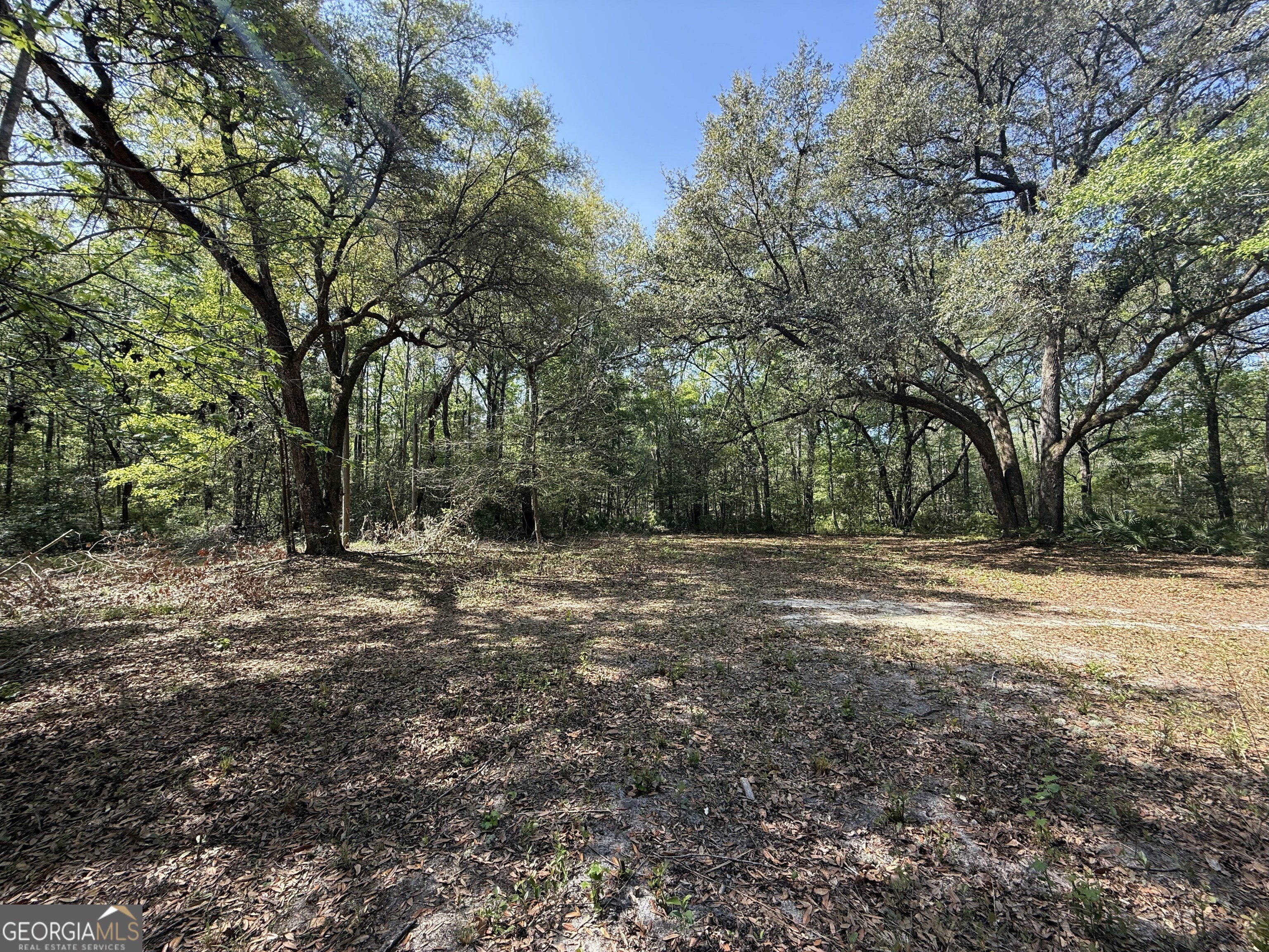 315 High Bluff Road Rincon, GA 31326 - Photo 3 of 7 a view of a yard with large trees