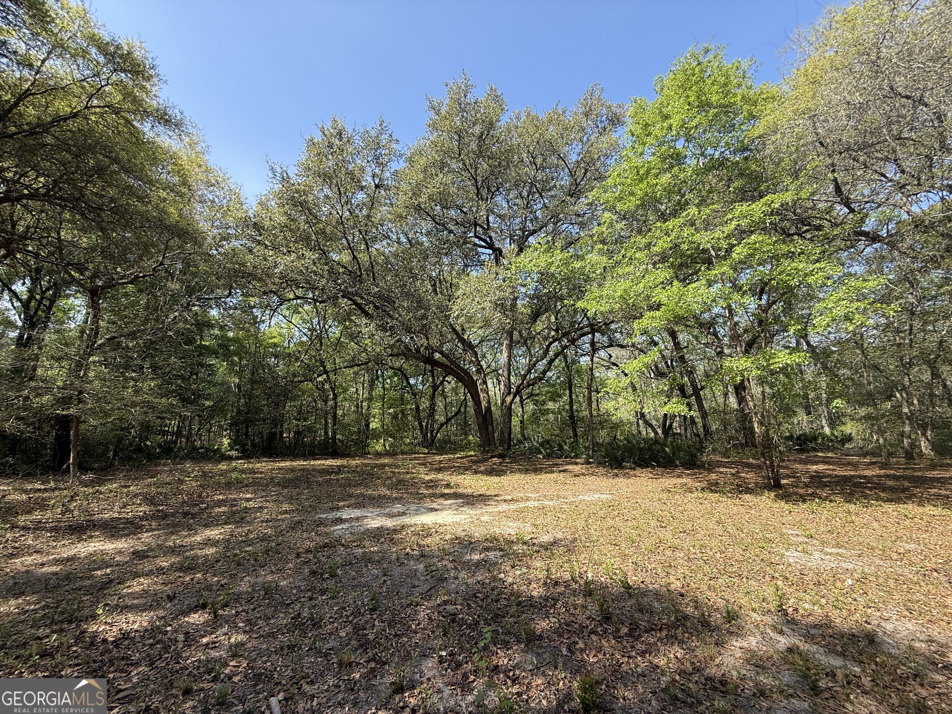 315 High Bluff Road Rincon, GA 31326 - Photo 7 of 7 a view of outdoor space with trees