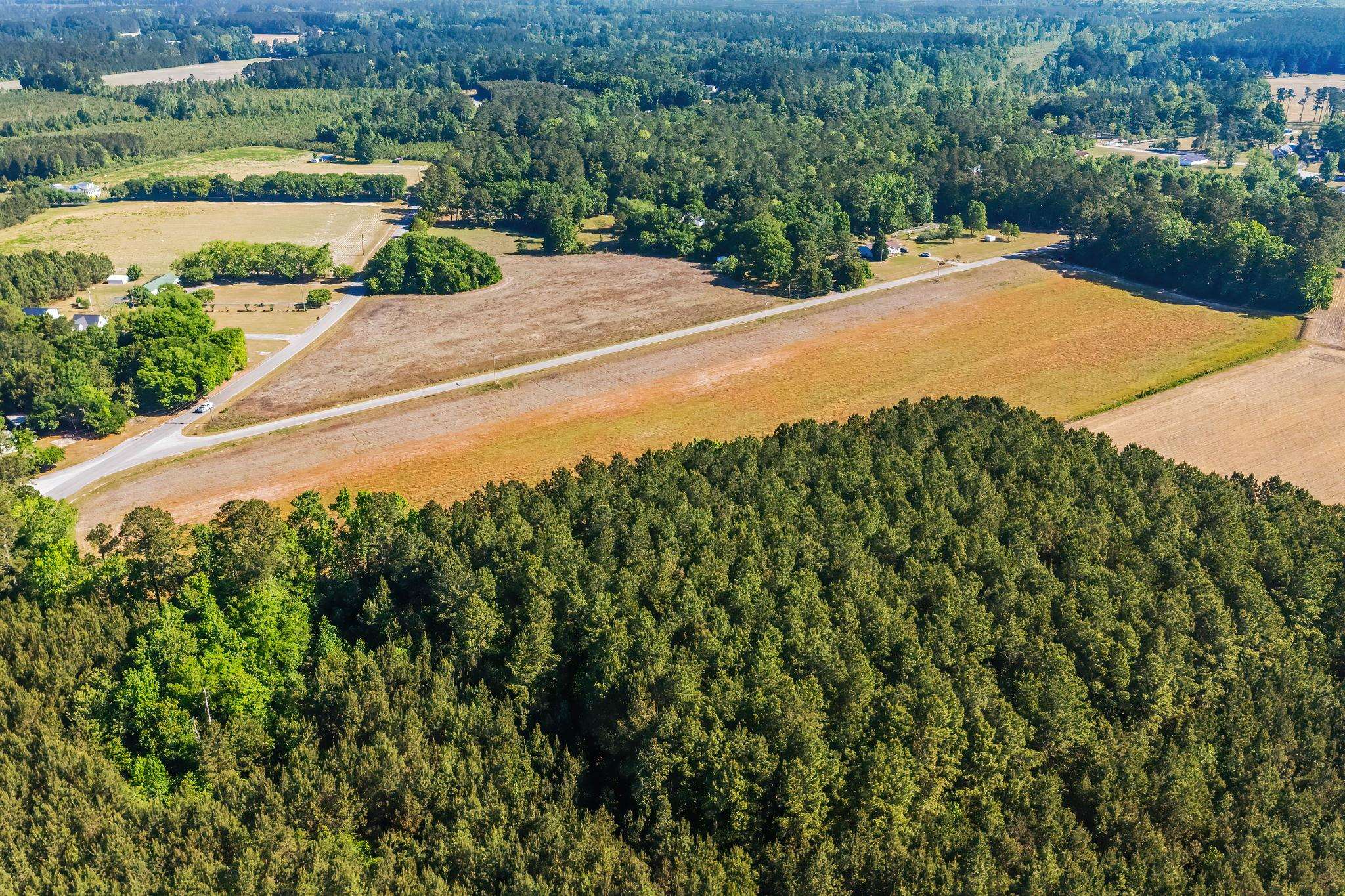 Tbd Ray Road Hemingway, SC 29554 - Photo 9 of 24