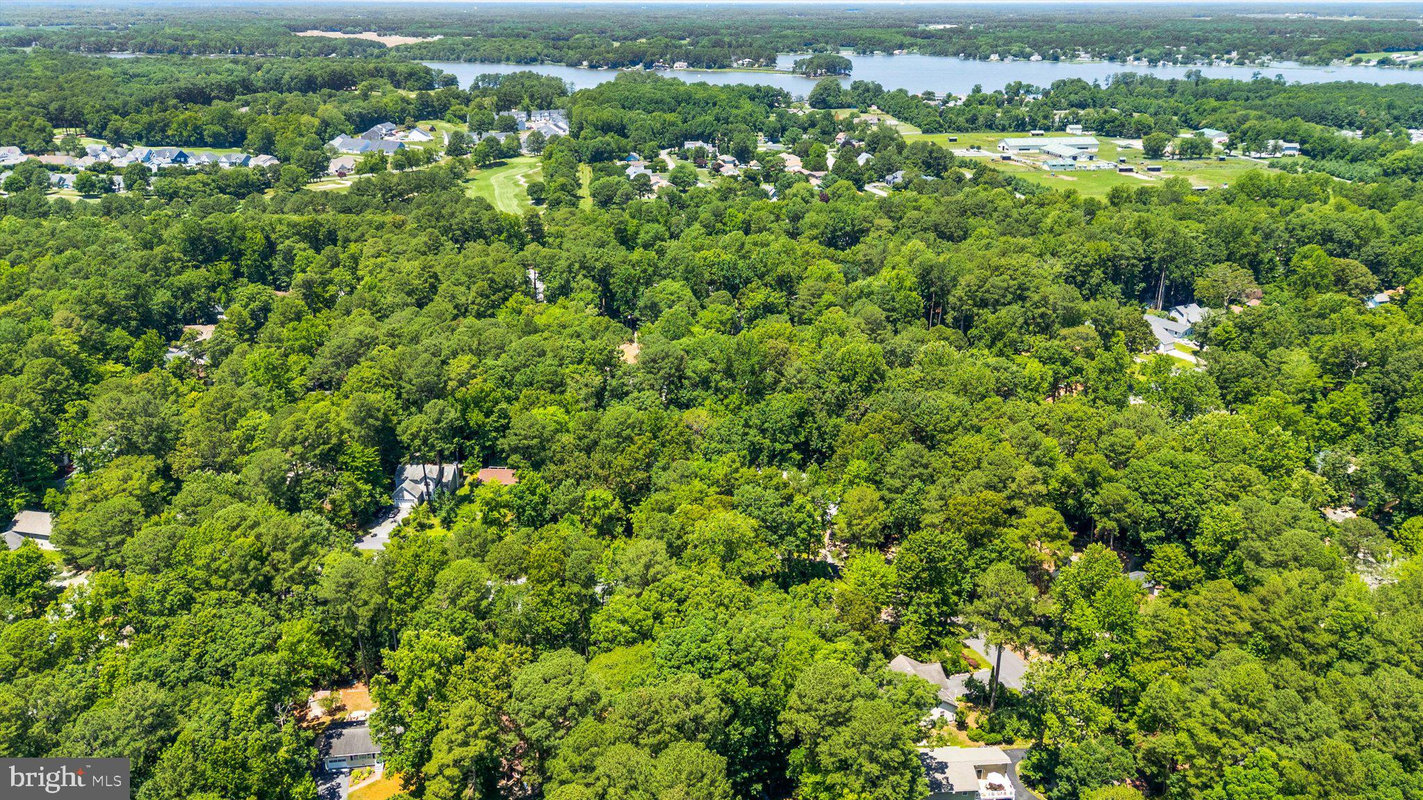 12 Moonraker Road Ocean Pines, MD 21811 - Photo 13 of 17 Lush greenery meets serene waterscape.