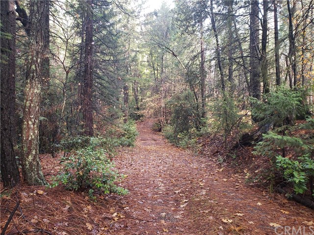 2 Summerwind Trail Forest Ranch, CA 95942 - Photo 1 of 1 Gallery Image 1