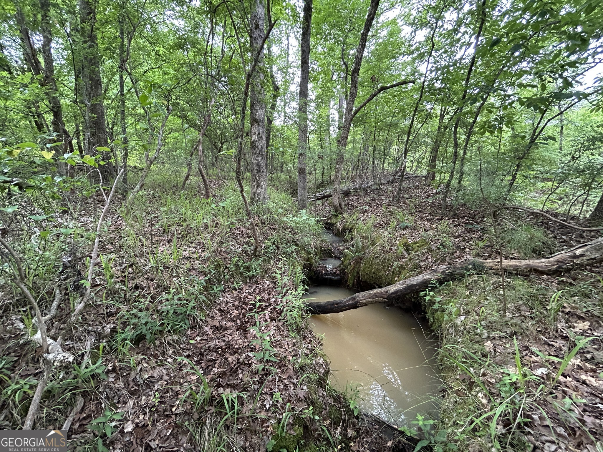 a view of lake with green space