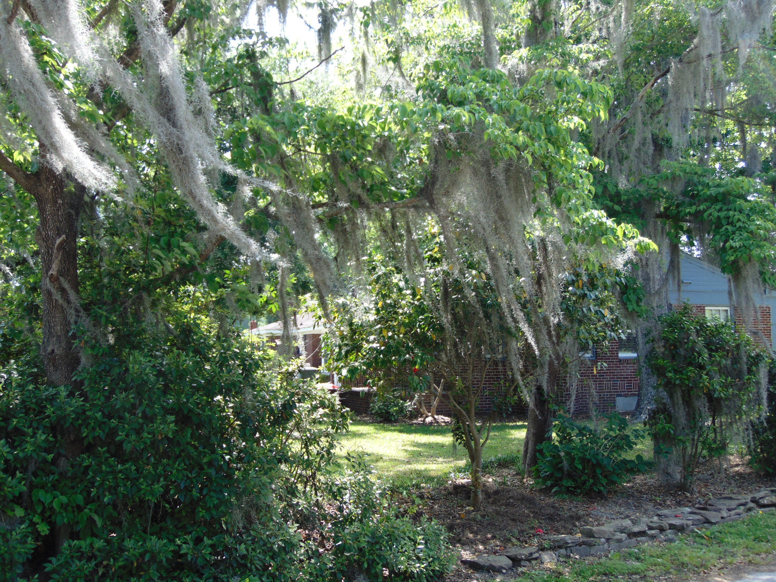 1002 West Recess Road Hanahan, SC 29410 - Photo 32 of 37 LANDSACPAPING