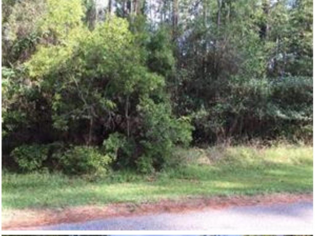 0 North Tranquility Road Lacombe, LA 70445 - Photo 4 of 6 Gallery Image 4