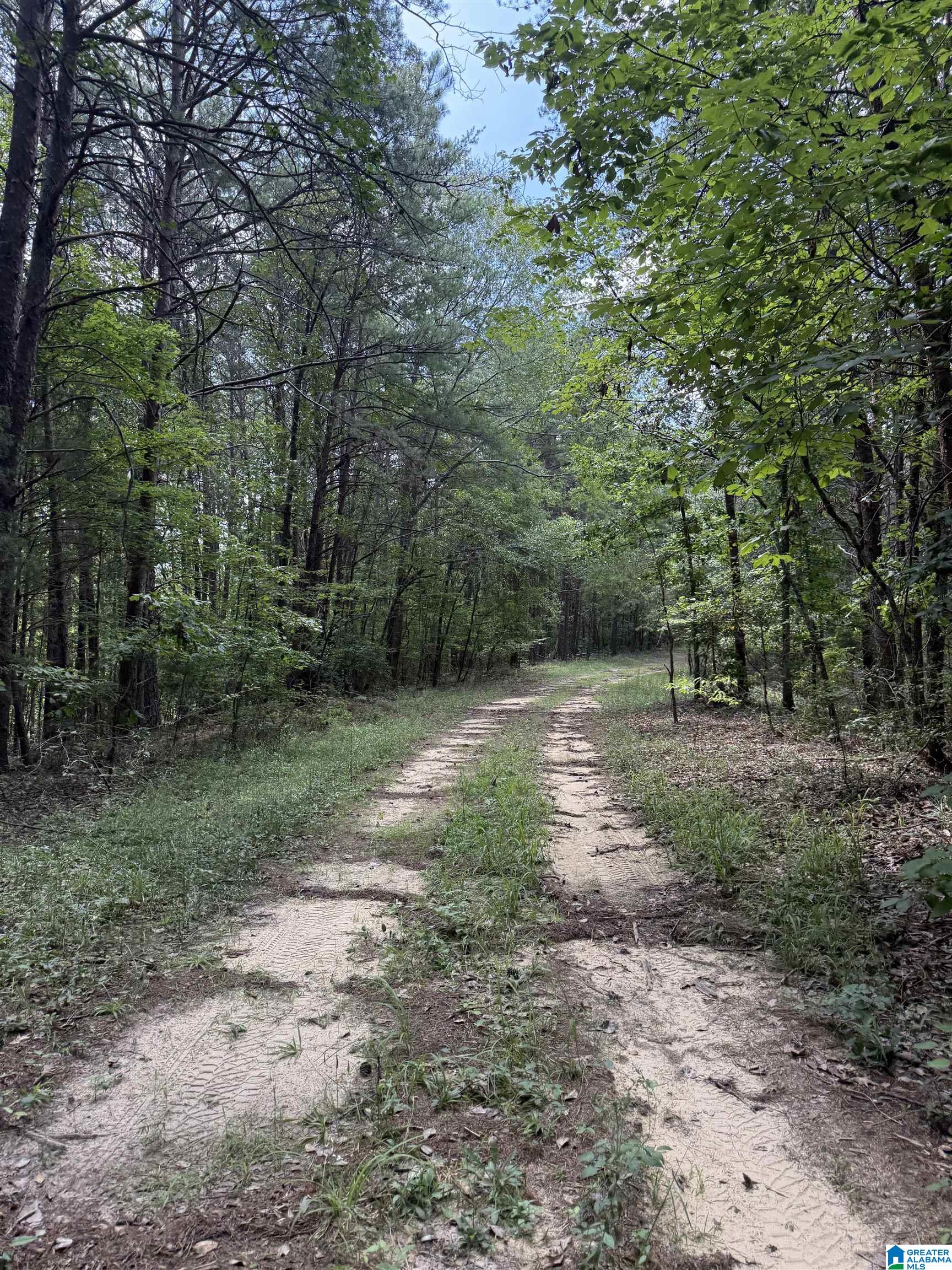2 County Road 2, Unit 50 / ACRES Double Springs, AL 35553 - Photo 25 of 79