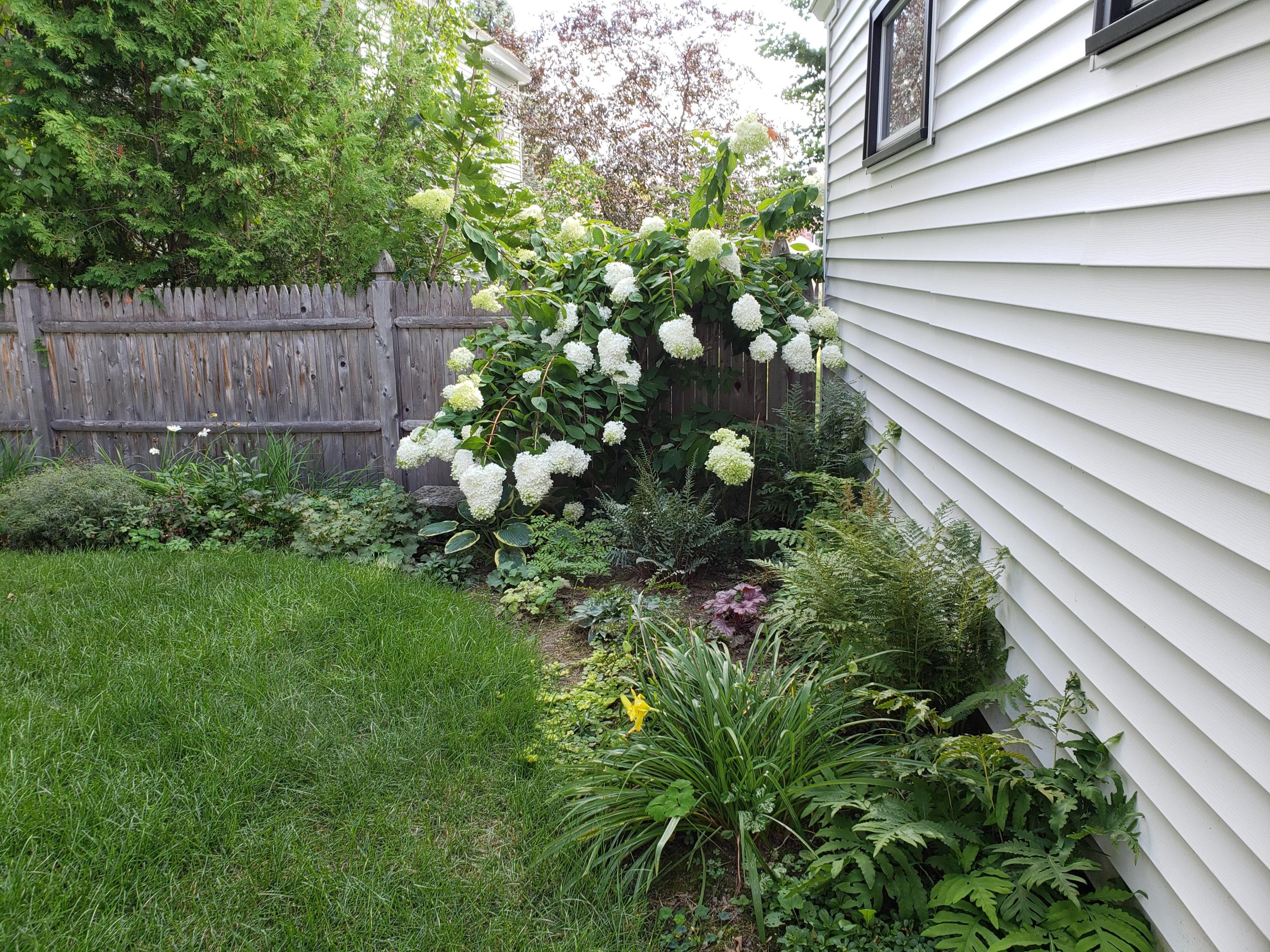 19 South Chestnut Street Augusta, ME 04330 - Photo 56 of 56 Outside1