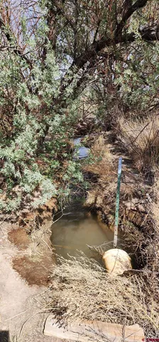 a view of a dry yard