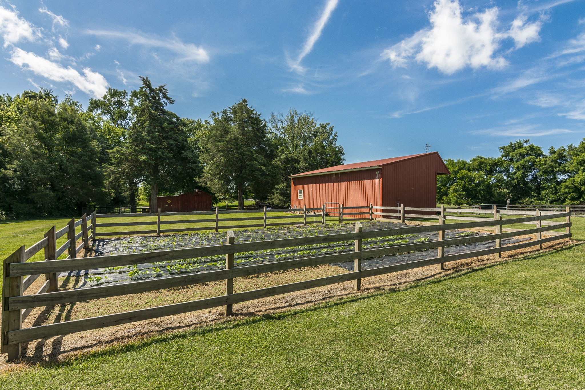 2527 Ewell Elliott Road Springfield, TN 37172 - Photo 35 of 50 a view of a garden with an outdoor space