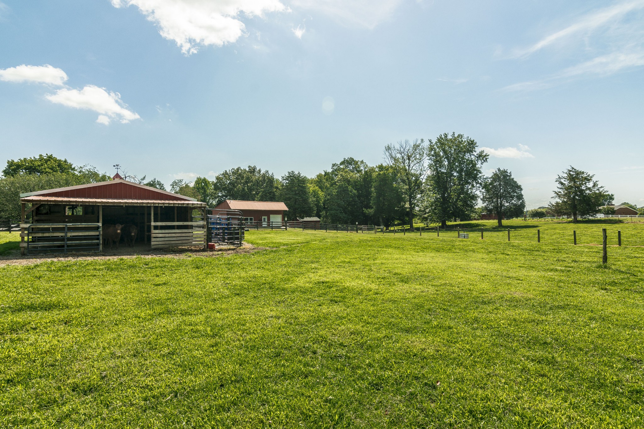 2527 Ewell Elliott Road Springfield, TN 37172 - Photo 44 of 50 a view of a garden