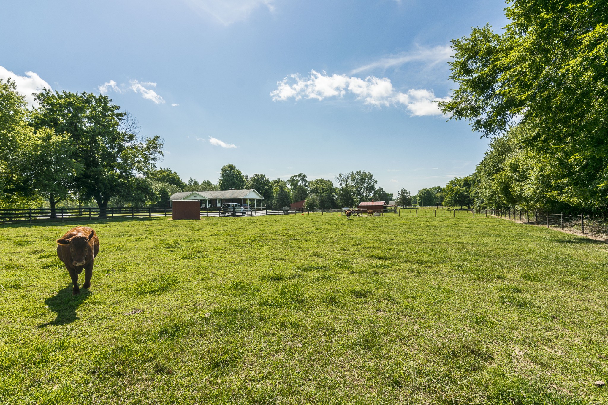 2527 Ewell Elliott Road Springfield, TN 37172 - Photo 48 of 50 a view of a garden