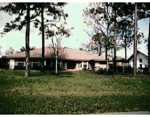 Primary Photo