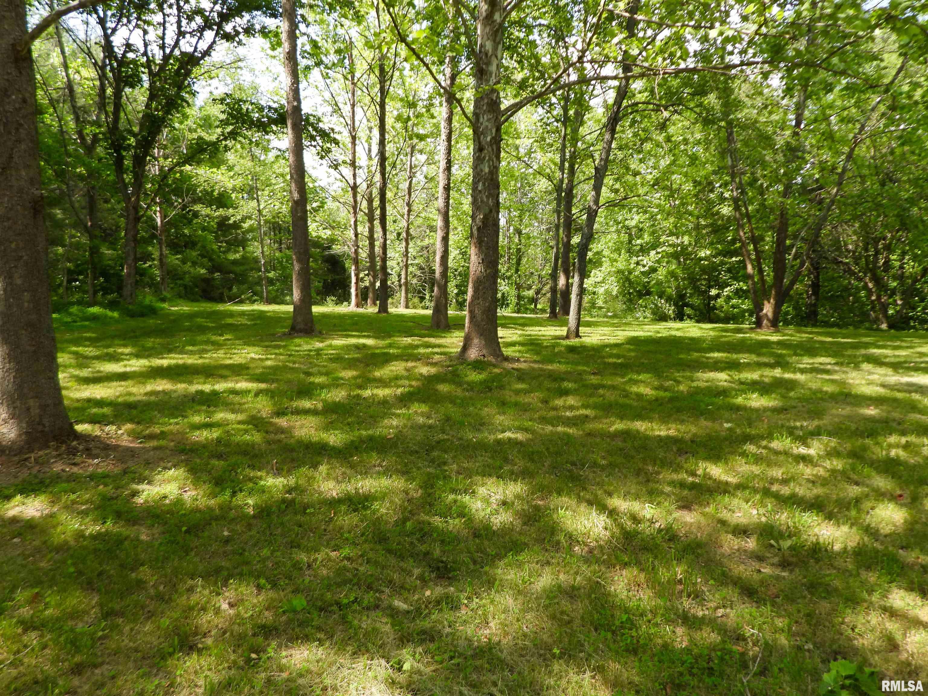 1 Chautauqua Road Murphysboro, IL 62966 - Photo 18 of 24