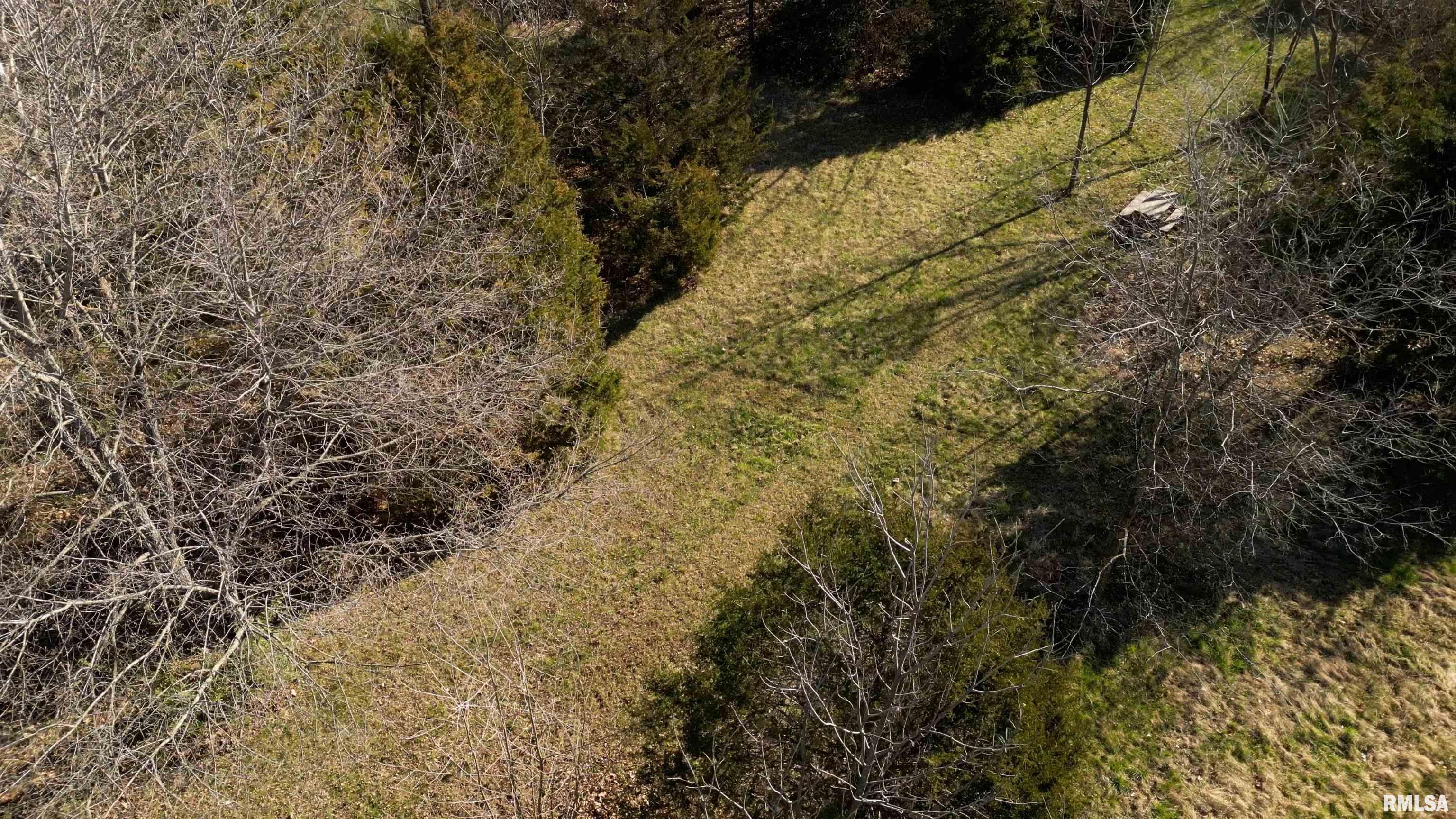 1 Chautauqua Road Murphysboro, IL 62966 - Photo 2 of 24