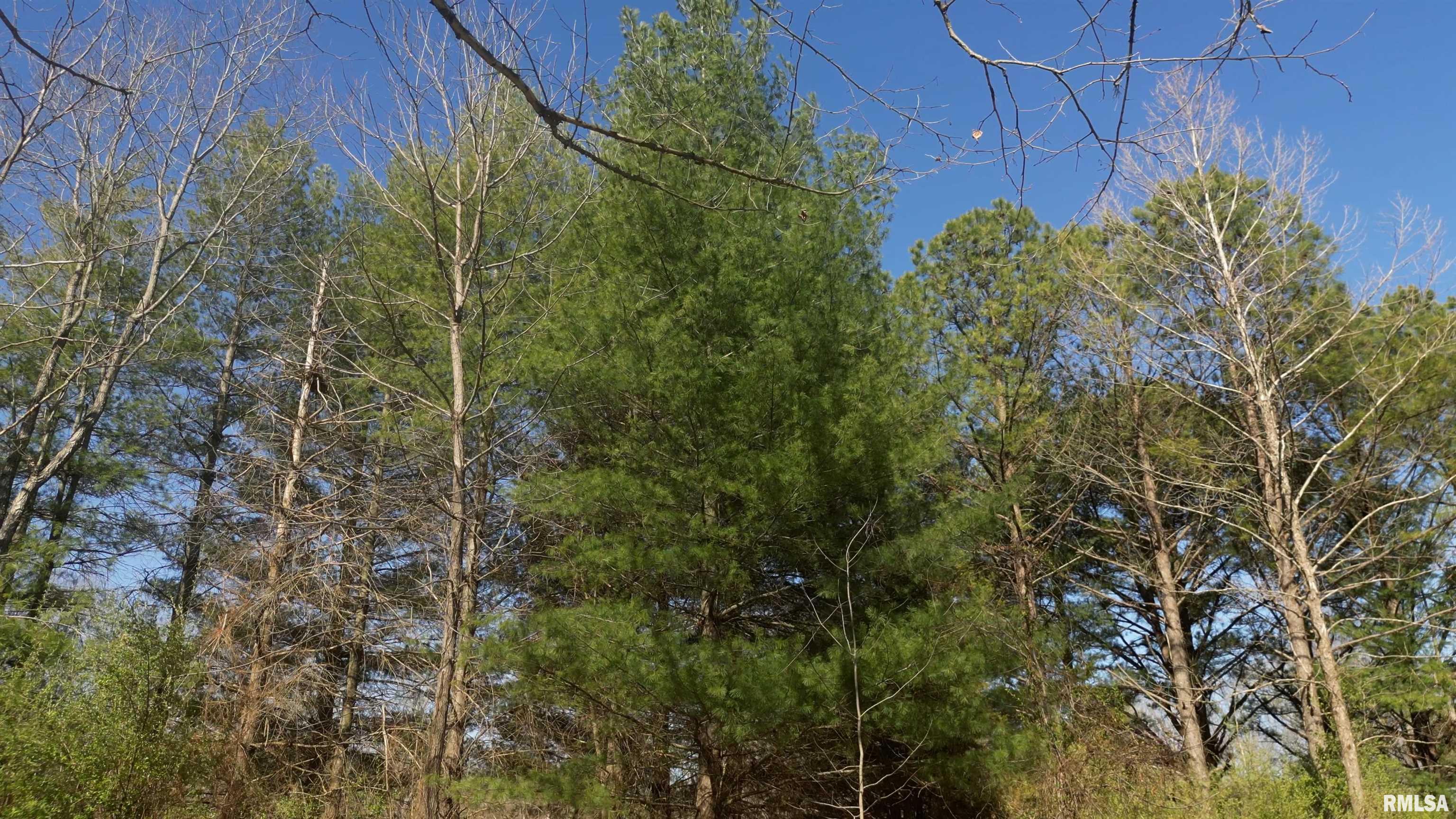 1 Chautauqua Road Murphysboro, IL 62966 - Photo 9 of 24
