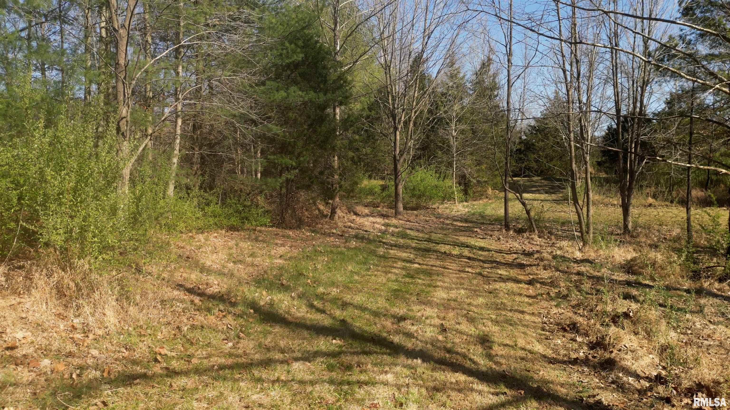 1 Chautauqua Road Murphysboro, IL 62966 - Photo 10 of 24