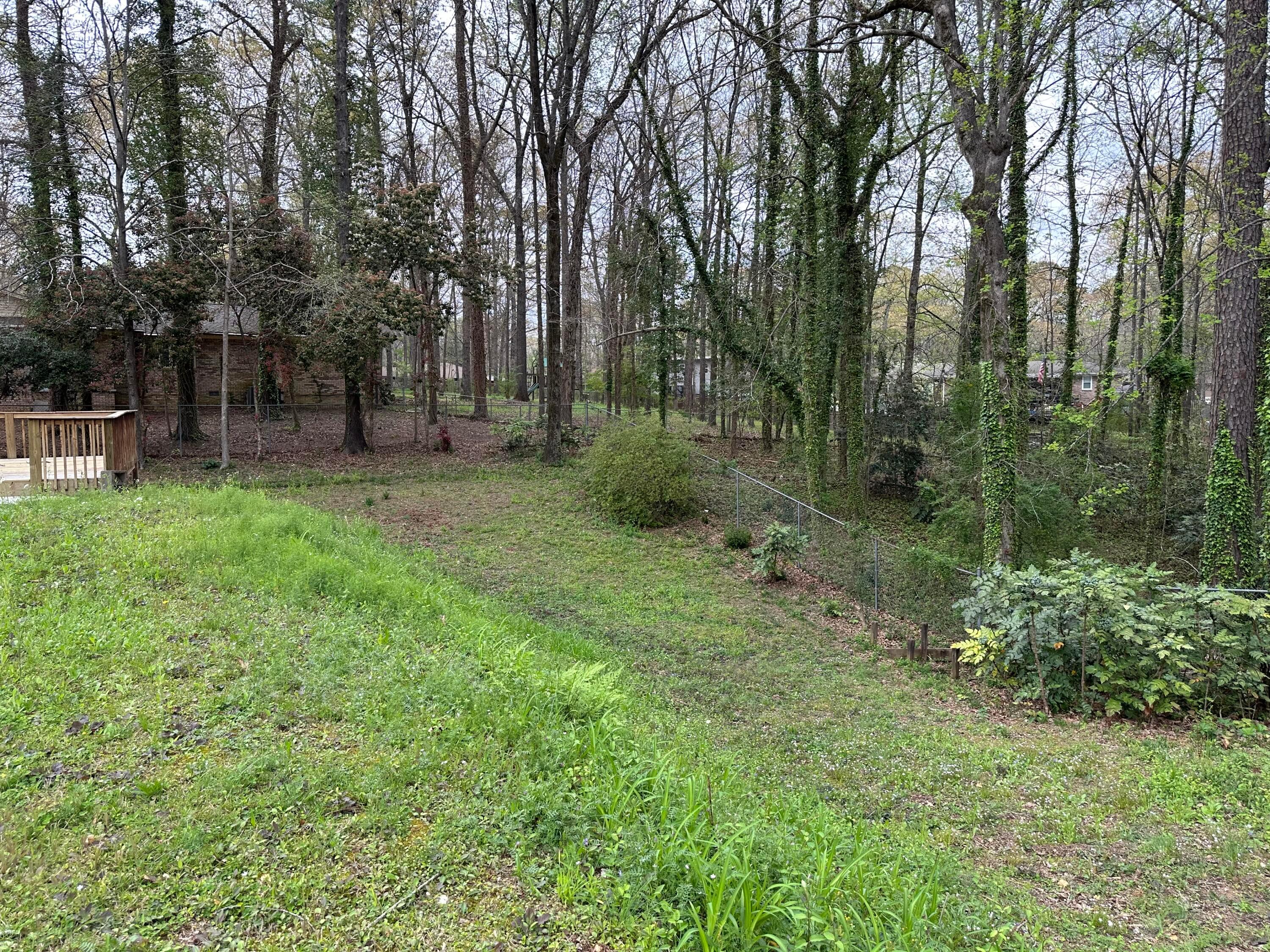 2605 Briarcliff Road Jasper, AL 35504 - Photo 3 of 19 Gallery Image 3