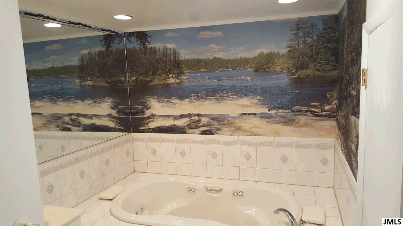 5550 Jefferson Road Clarklake, MI 49234 - Photo 14 of 35 Jacuzzi tub in 2nd full bath