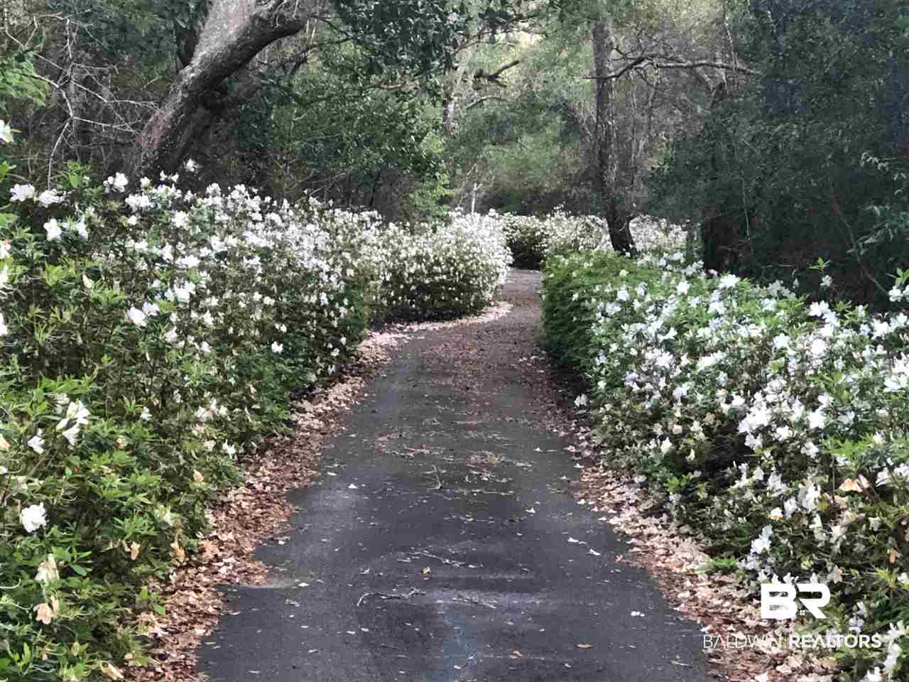 29104 Canal Road Orange Beach, AL 36561 - Photo 6 of 15 Azalea lined drive