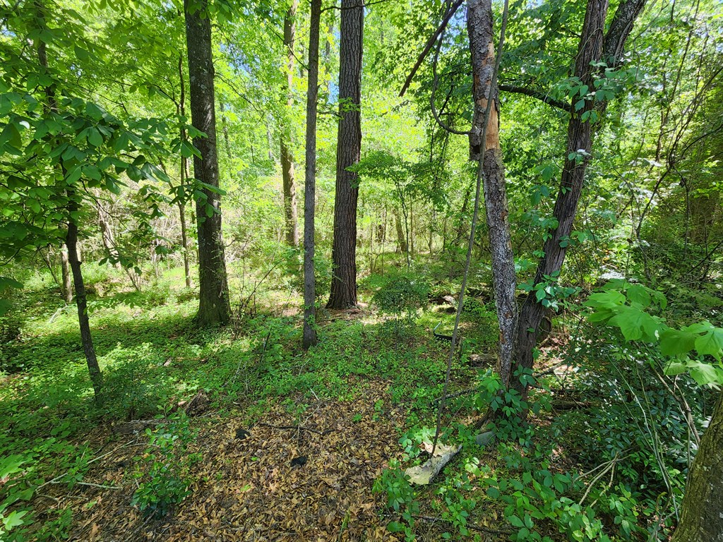 6024 Old Dominion Road Columbus, GA 31909 - Photo 27 of 27 Gallery Image 27
