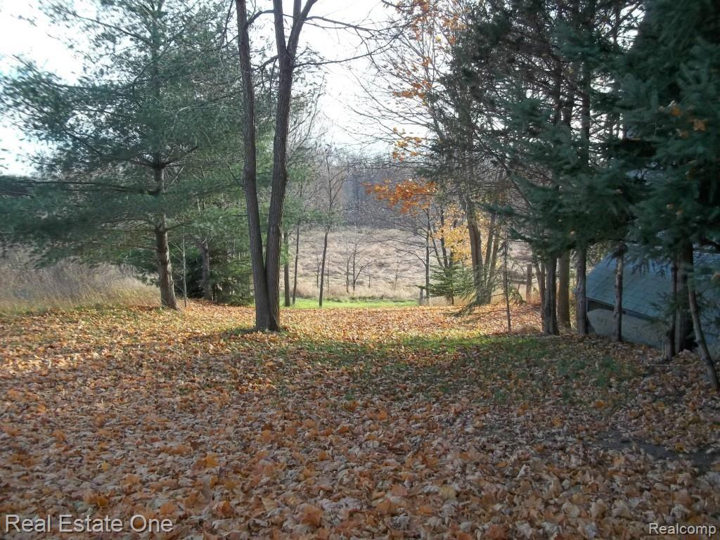 4891 Genesee Road Lapeer, MI 48446 - Photo 16 of 34 SOUTHERN VIEW.jpg