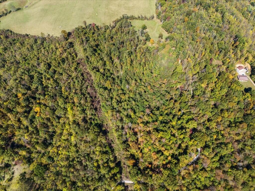 Tbd Dry Branch Road Pembroke, VA 24136 - Photo 11 of 26 11-DJI_20251009123117_0015_D