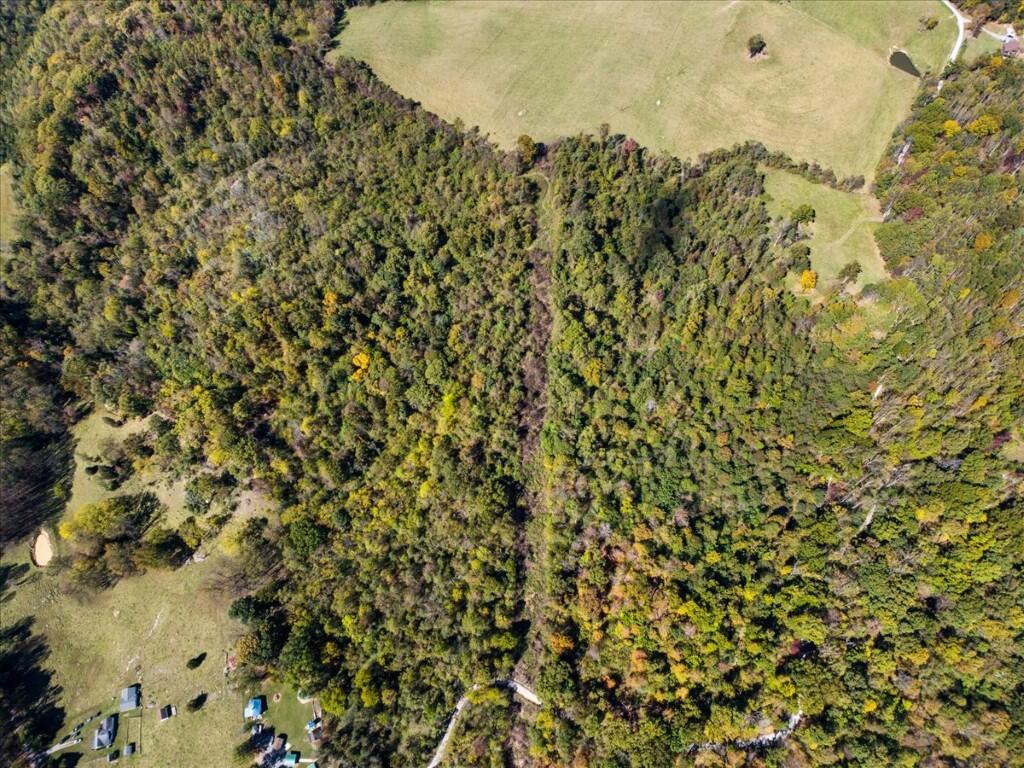Tbd Dry Branch Road Pembroke, VA 24136 - Photo 12 of 26 12-DJI_20251009123308_0016_D