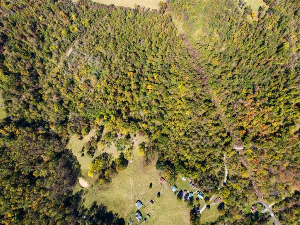 Tbd Dry Branch Road Pembroke, VA 24136 - Photo 13 of 26 13-DJI_20251009123454_0017_D