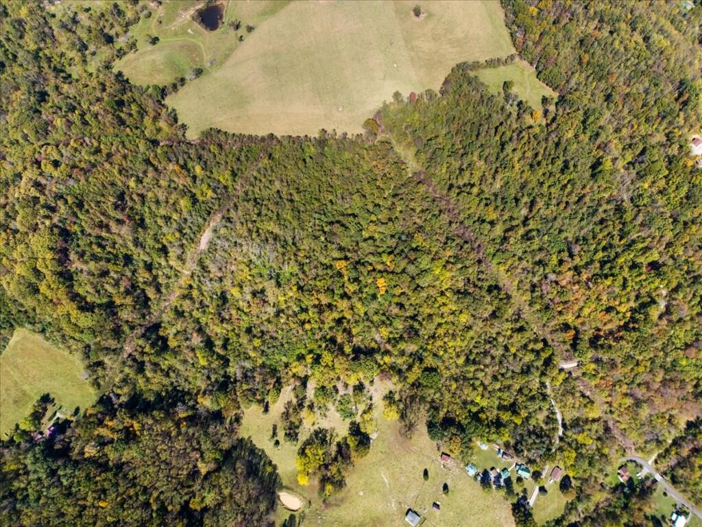 Tbd Dry Branch Road Pembroke, VA 24136 - Photo 14 of 26 14-DJI_20251009123537_0018_D
