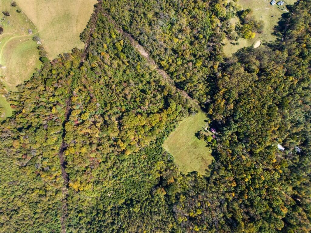 Tbd Dry Branch Road Pembroke, VA 24136 - Photo 17 of 26 17-DJI_20251009123932_0021_D