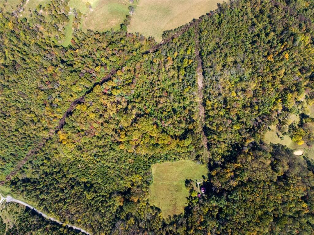 Tbd Dry Branch Road Pembroke, VA 24136 - Photo 18 of 26 18-DJI_20251009124014_0022_D