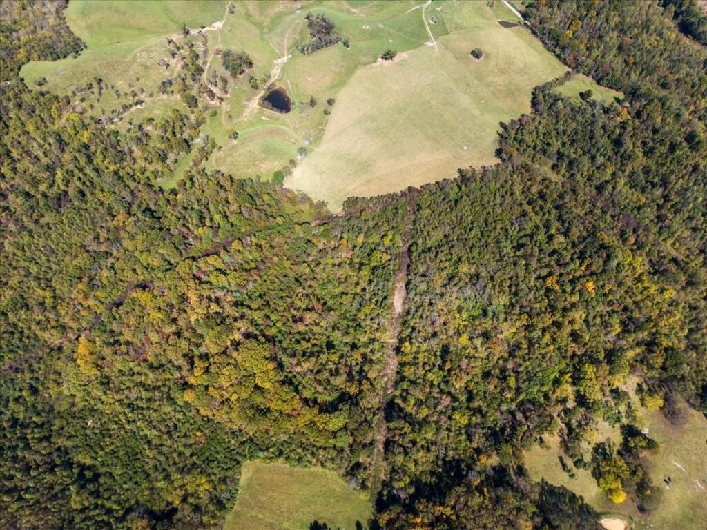 Tbd Dry Branch Road Pembroke, VA 24136 - Photo 19 of 26 19-DJI_20251009124109_0023_D