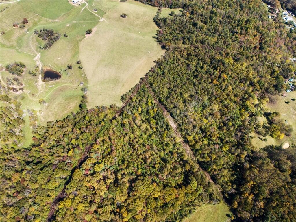 Tbd Dry Branch Road Pembroke, VA 24136 - Photo 22 of 26 22-DJI_20251009124301_0026_D