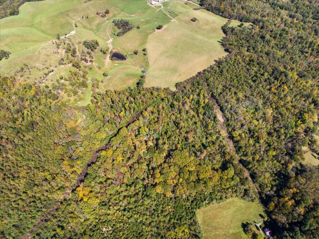 Tbd Dry Branch Road Pembroke, VA 24136 - Photo 24 of 26 24-DJI_20251009124326_0028_D