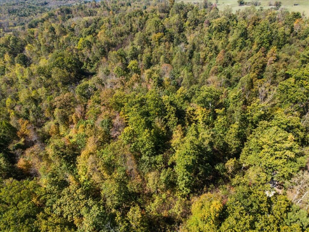 06-DJI_20251009122917_0010_D