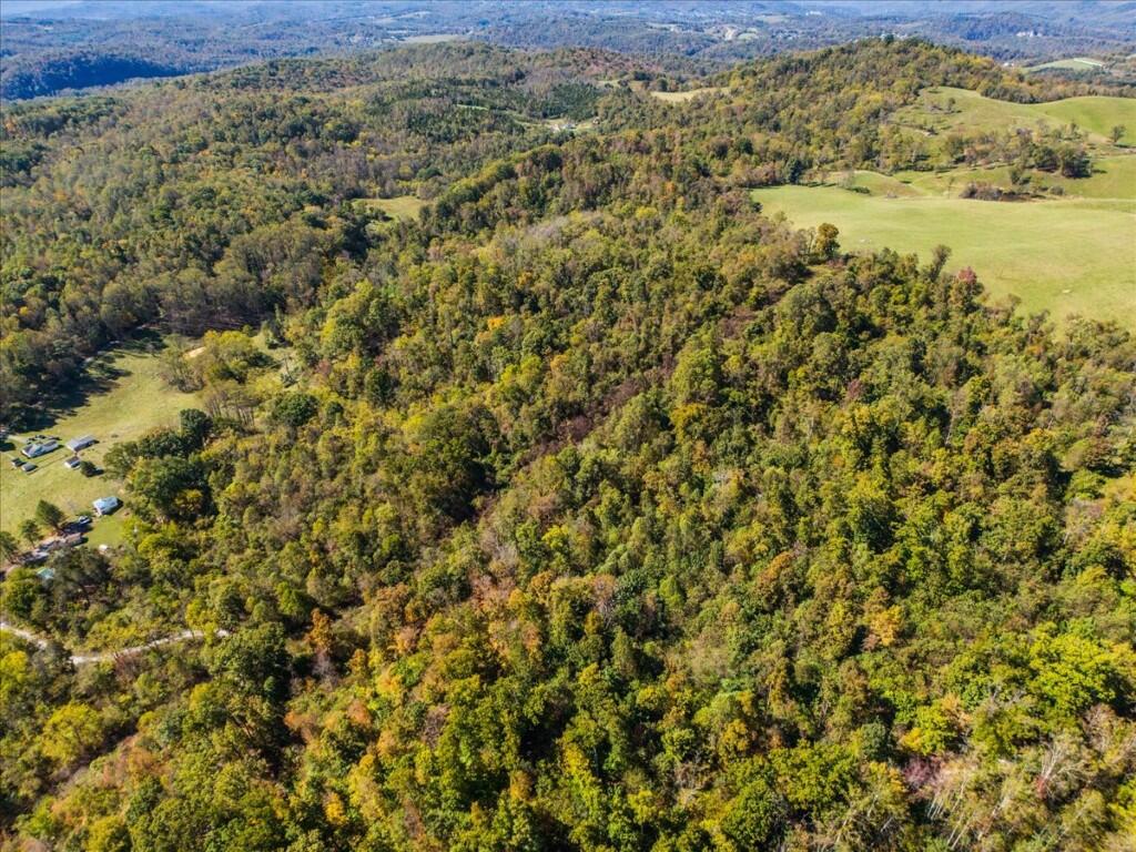 07-DJI_20251009122949_0011_D