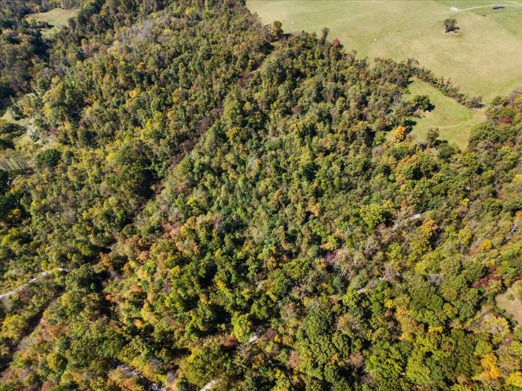 Tbd Dry Branch Road Pembroke, VA 24136 - Photo 8 of 26 08-DJI_20251009123003_0012_D