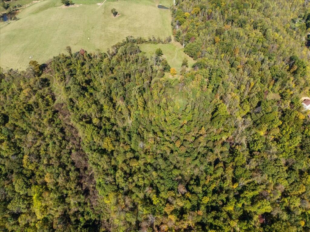 Tbd Dry Branch Road Pembroke, VA 24136 - Photo 9 of 26 09-DJI_20251009123039_0013_D