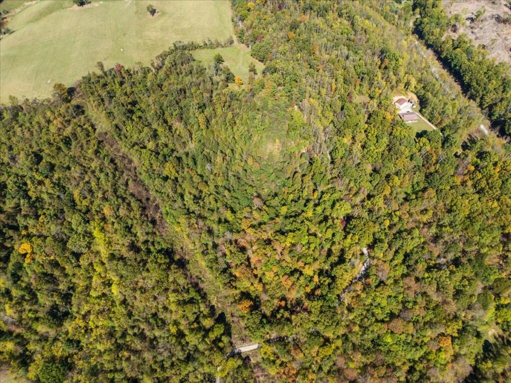 Tbd Dry Branch Road Pembroke, VA 24136 - Photo 10 of 26 10-DJI_20251009123055_0014_D