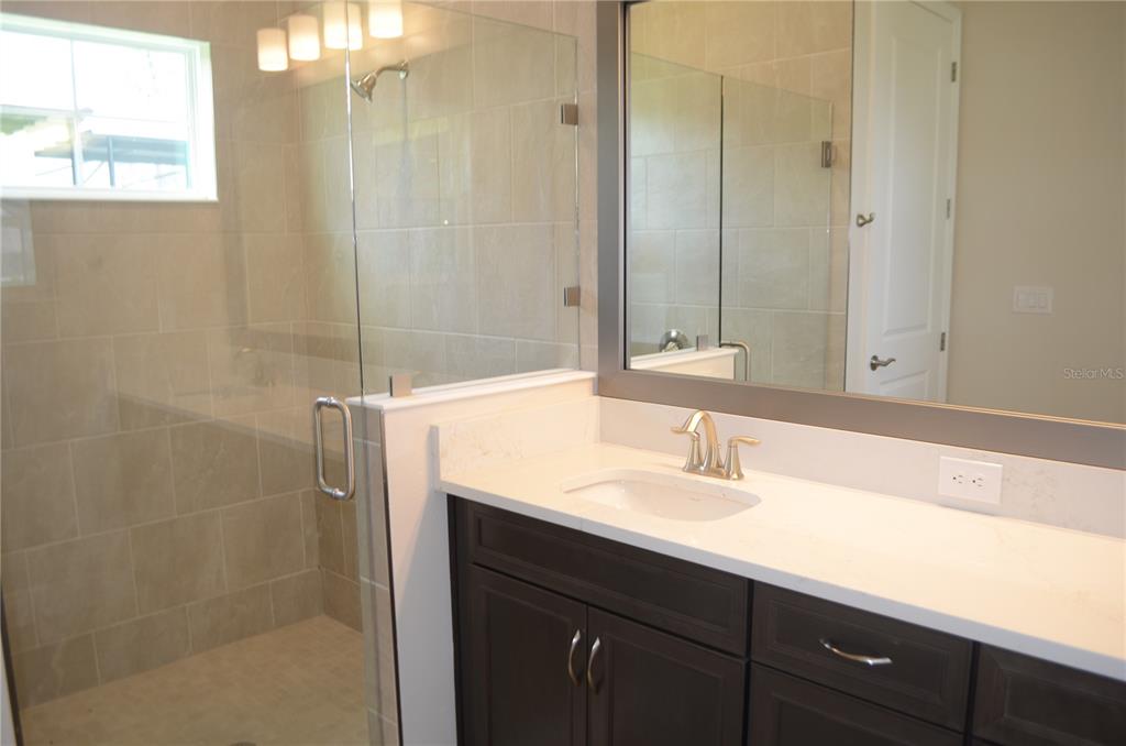 35482 Big Hawk Drive Zephyrhills, FL 33541 - Photo 12 of 38