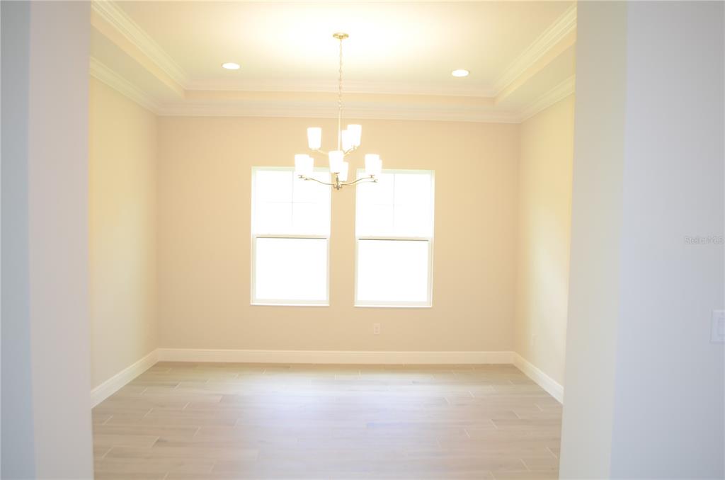 35482 Big Hawk Drive Zephyrhills, FL 33541 - Photo 15 of 38