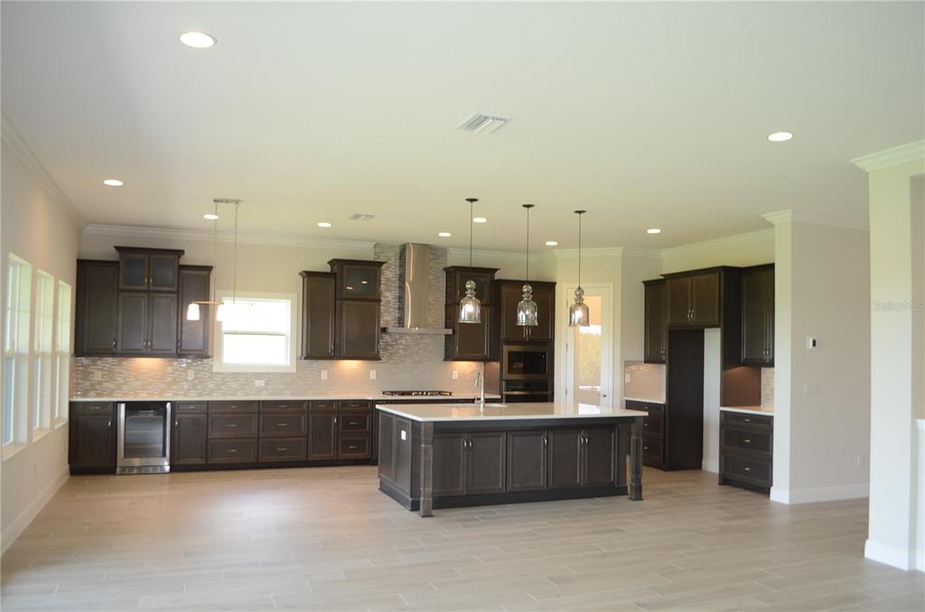 35482 Big Hawk Drive Zephyrhills, FL 33541 - Photo 2 of 38