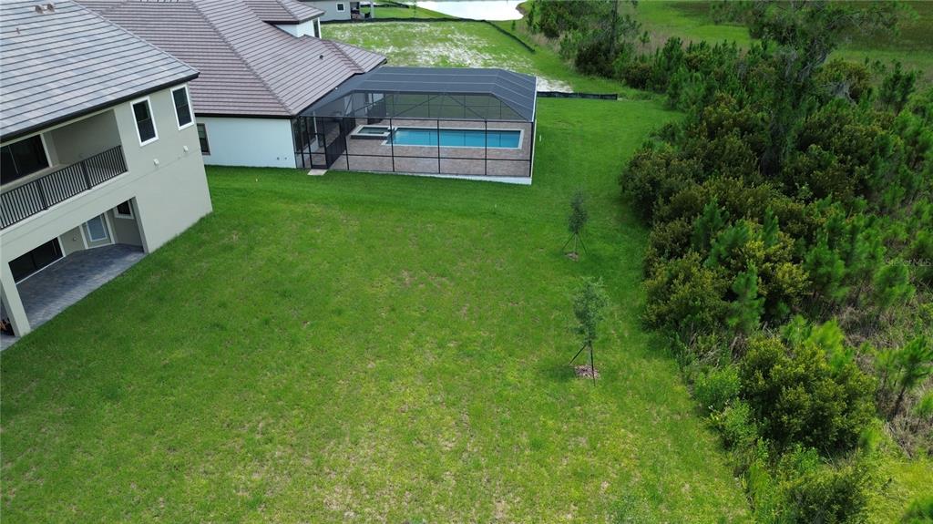 35482 Big Hawk Drive Zephyrhills, FL 33541 - Photo 37 of 38