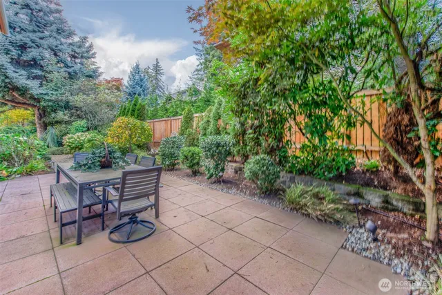 a view of a backyard with potted plants and a large tree