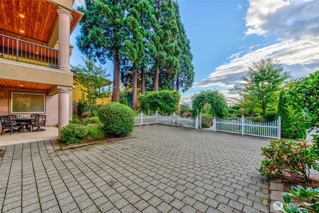 a view of a flower in a garden