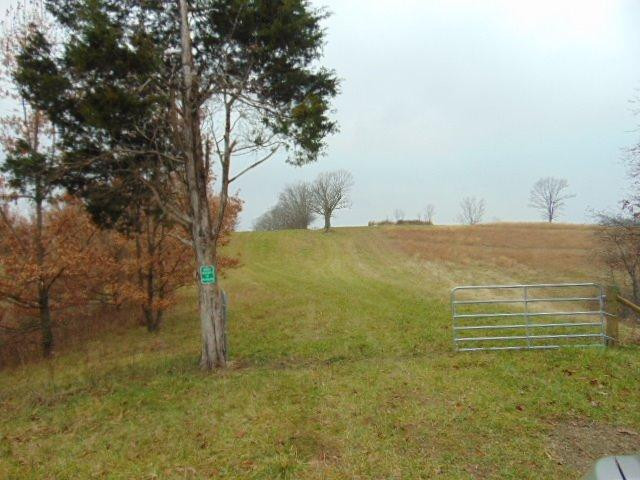 9535 Georgetown Road Owenton, KY 40359 - Photo 1 of 29 Gallery Image 1