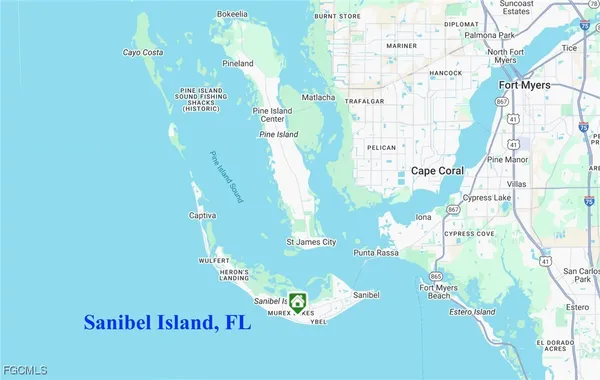 a close up of a plant