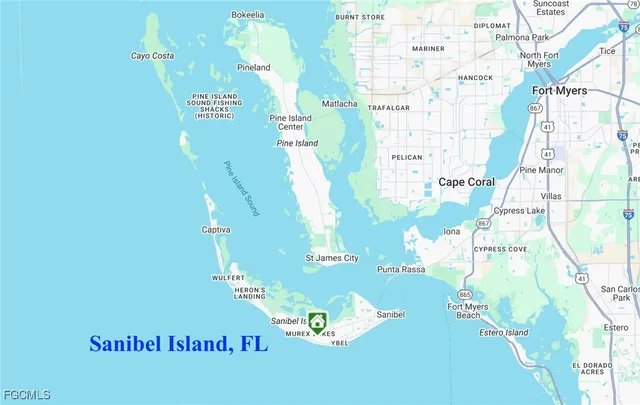 a close up of a plant