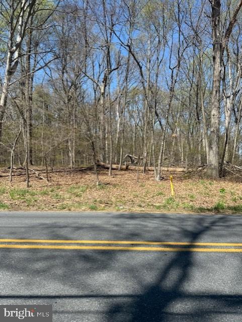 2907 Frenchtown Road Newark, DE 19702 - Photo 1 of 5 Beautiful Level Wooded Lot