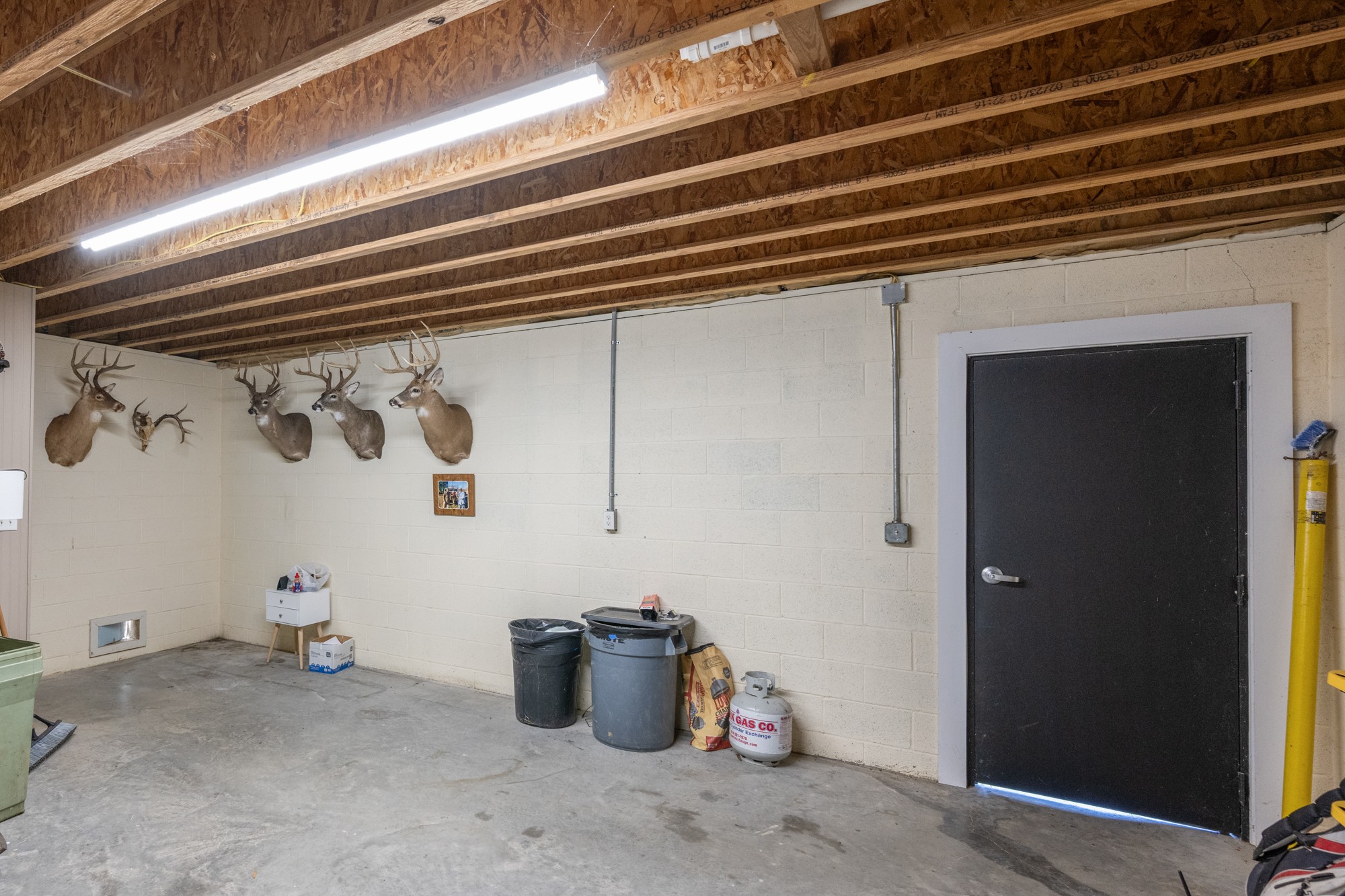 222 Fairway Villa Lane Decaturville, TN 38329 - Photo 30 of 36 a view of a storage & utility room